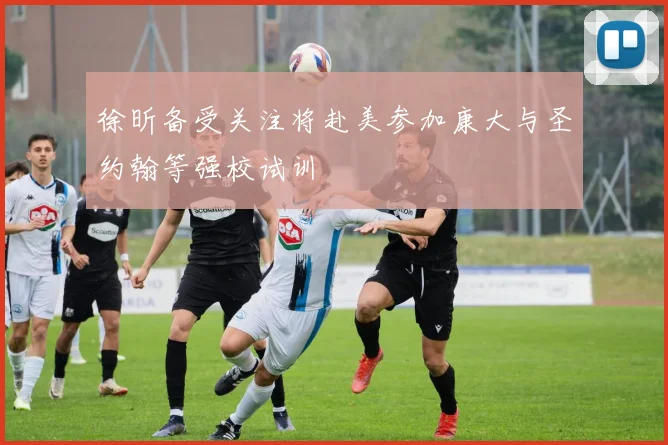 徐昕备受关注将赴美参加康大与圣约翰等强校试训