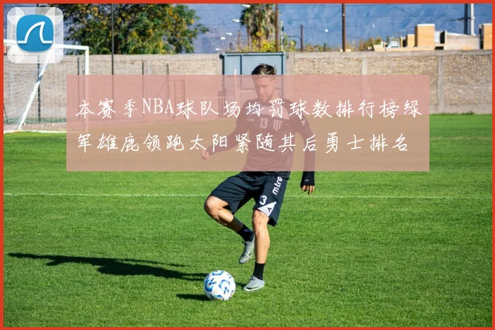 本赛季NBA球队场均罚球数排行榜绿军雄鹿领跑太阳紧随其后勇士排名第九