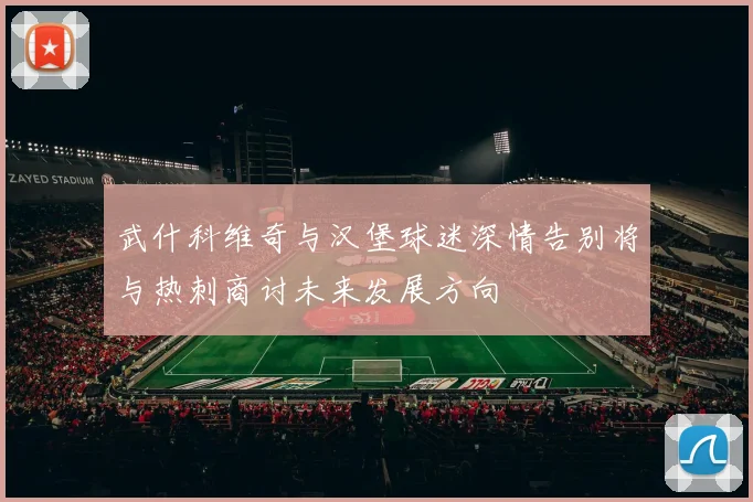 武什科维奇与汉堡球迷深情告别将与热刺商讨未来发展方向